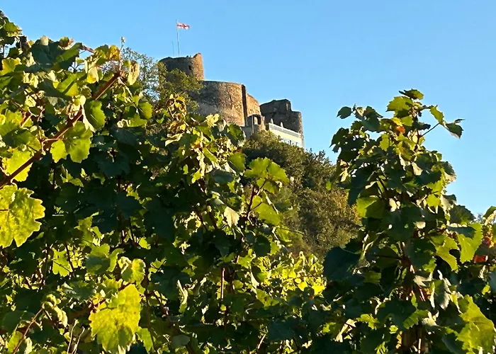 Kalverkamp Διαμέρισμα *