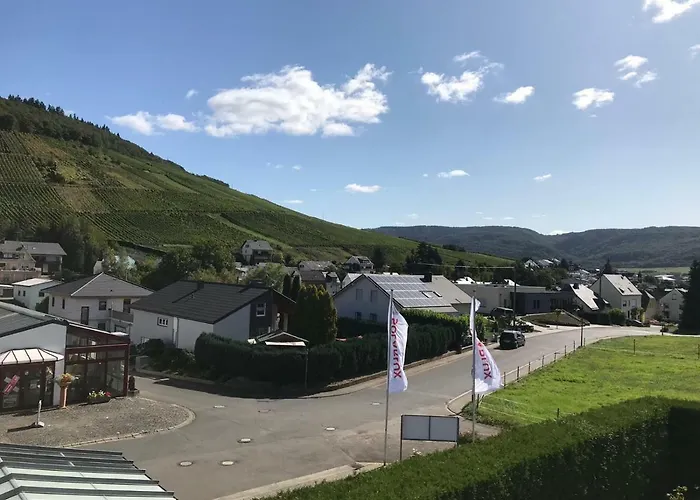 Kalverkamp リーザー